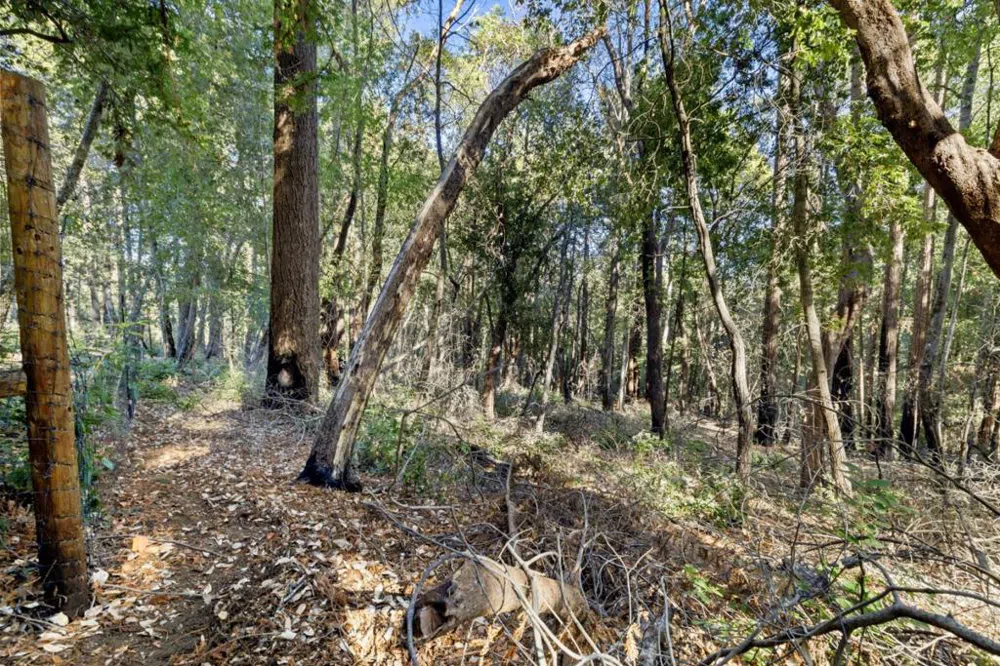 Western Brookdale, CA 95007