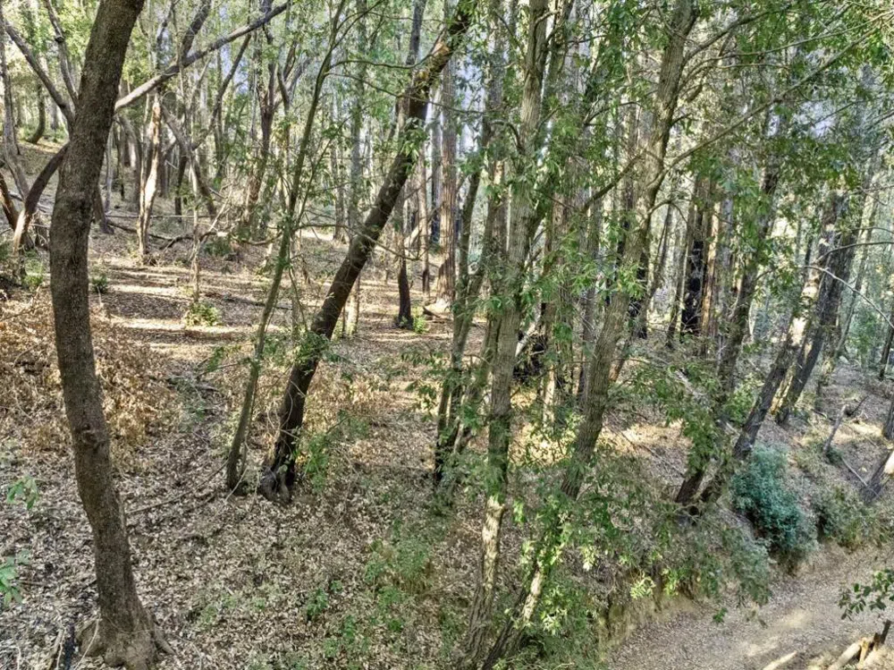 Western Brookdale, CA 95007