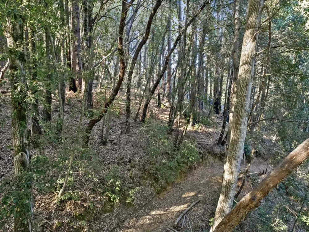 Western Brookdale, CA 95007