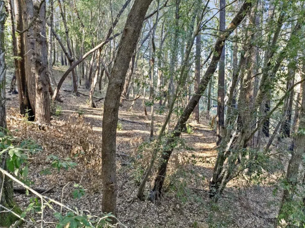 Western Brookdale, CA 95007