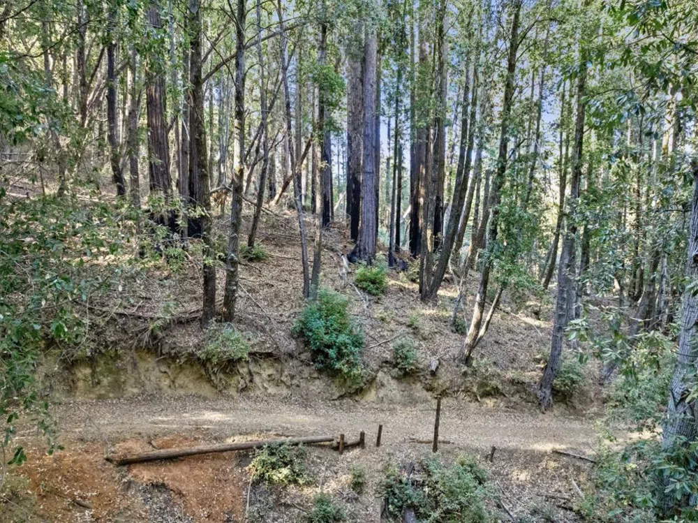 Western Brookdale, CA 95007