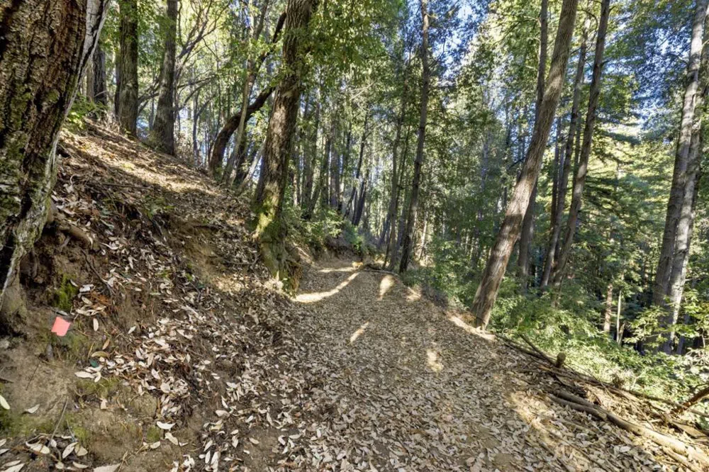 Western Brookdale, CA 95007
