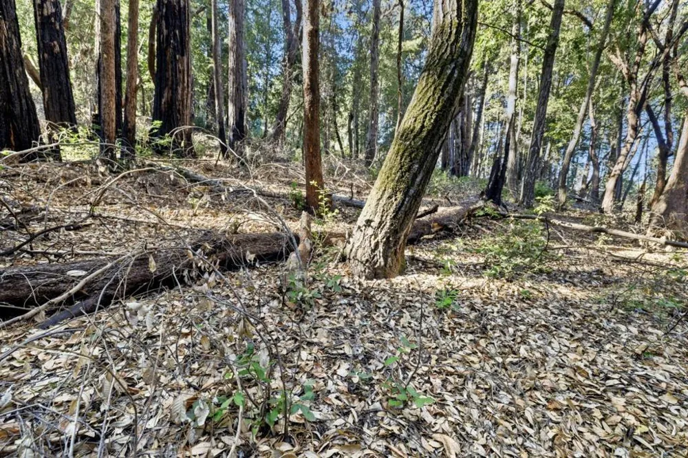 Western Brookdale, CA 95007