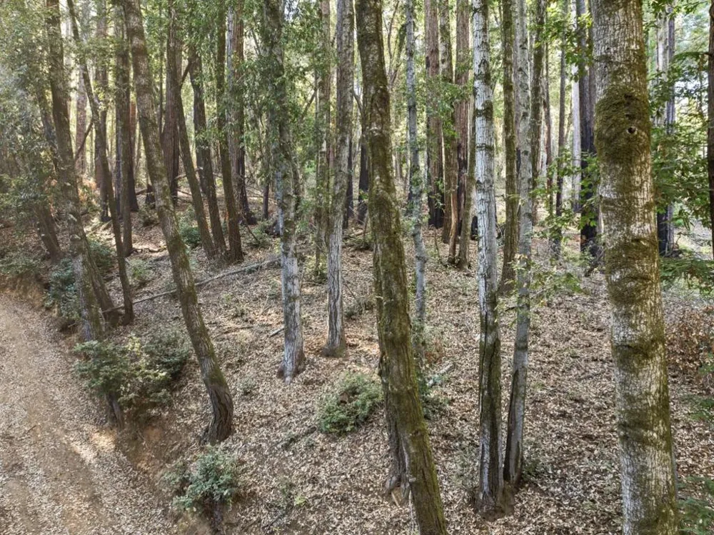 Western Brookdale, CA 95007