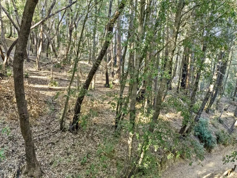 Western Brookdale, CA 95007