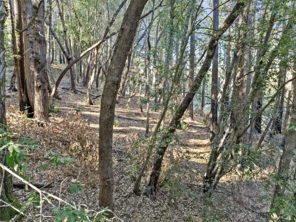 Western Brookdale, CA 95007