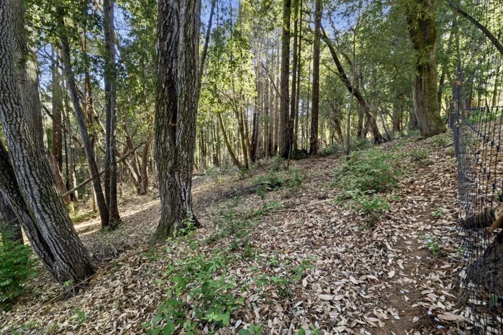 Western Brookdale, CA 95007