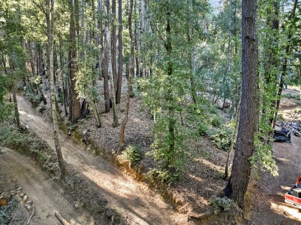 Western Brookdale, CA 95007