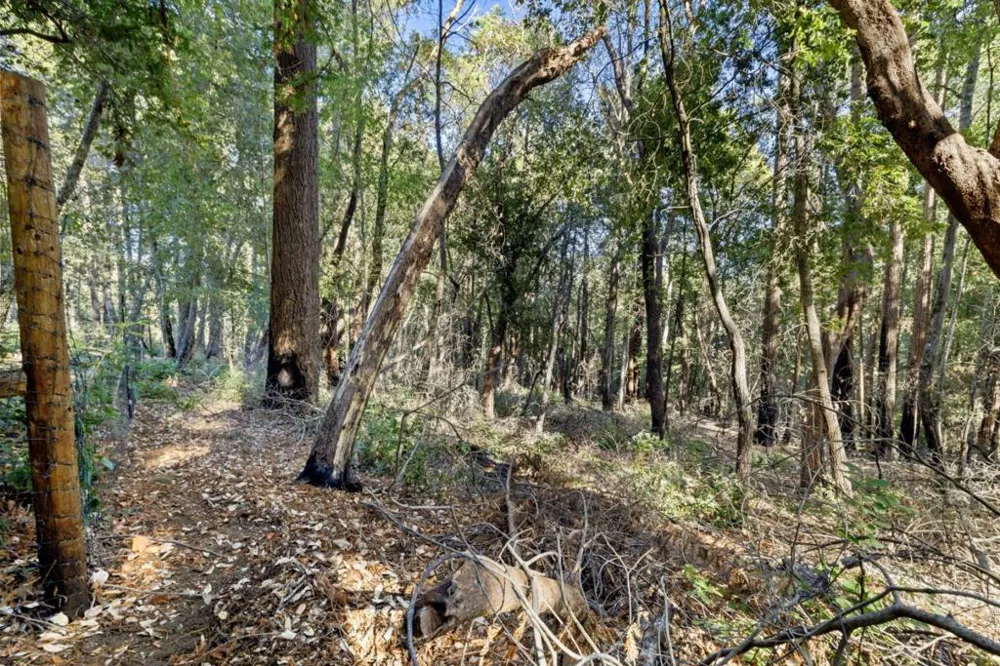 Western Brookdale, CA 95007
