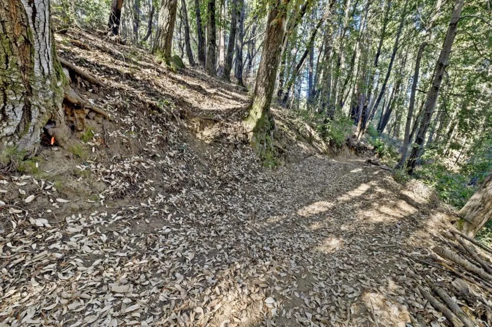 Western Brookdale, CA 95007