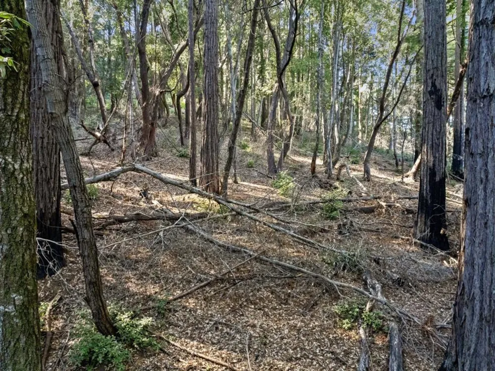 Western Brookdale, CA 95007