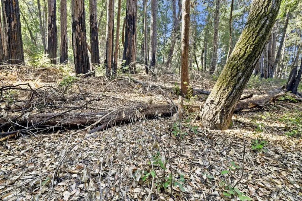Western Brookdale, CA 95007