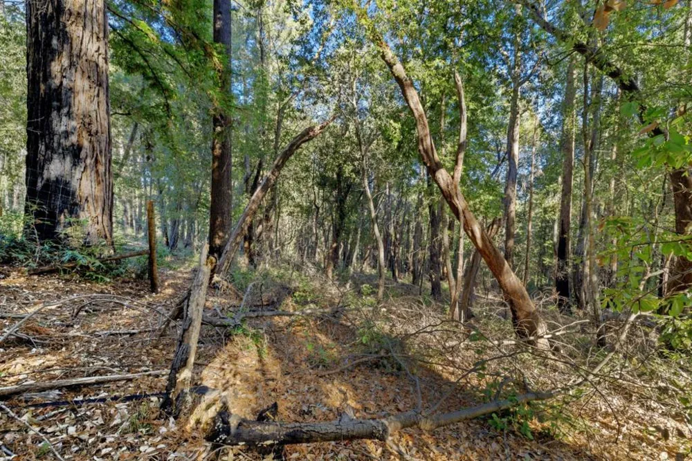 Western Brookdale, CA 95007