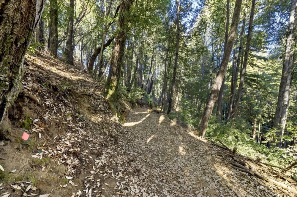 Western Brookdale, CA 95007