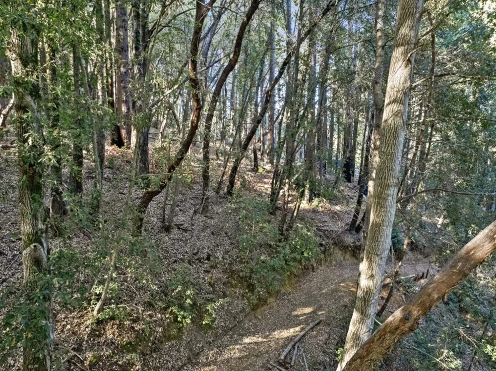 Western Brookdale, CA 95007