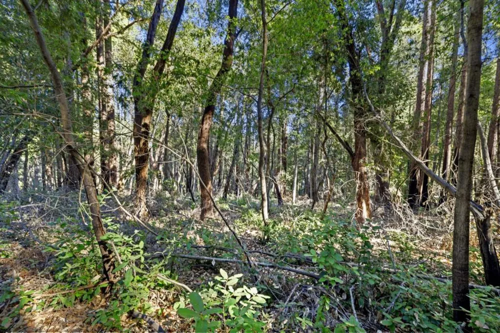 Western Brookdale, CA 95007