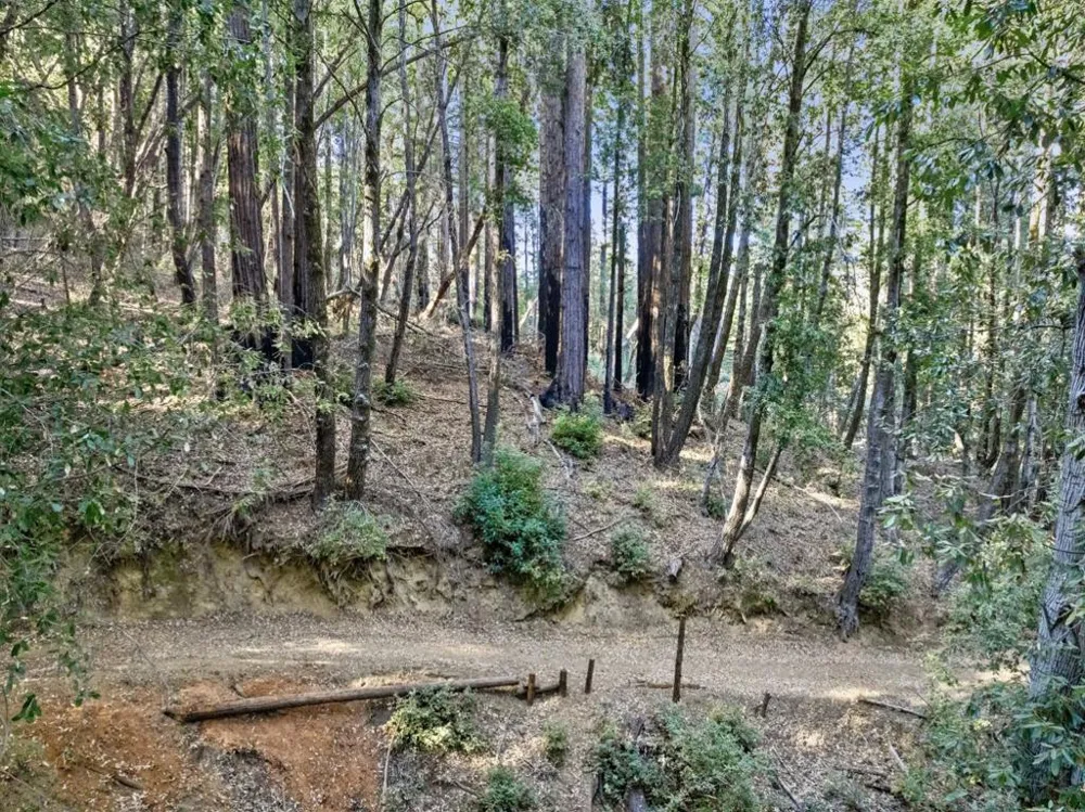 Western Brookdale, CA 95007