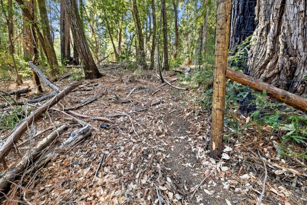 Western Brookdale, CA 95007