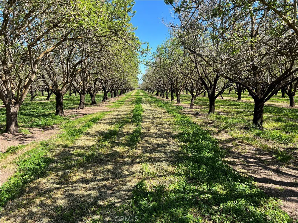 Cana Highway Chico, CA 95973