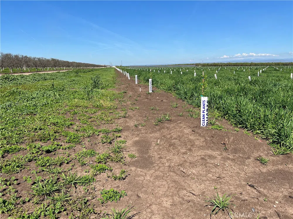 Cana Highway Chico, CA 95973