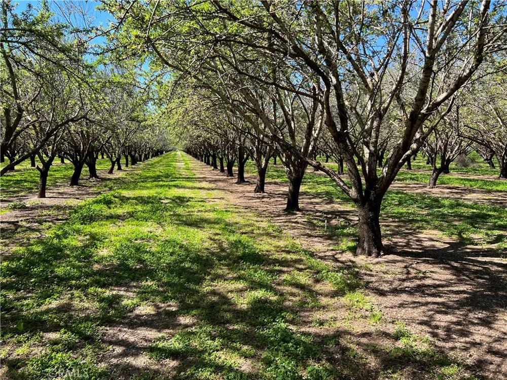 Cana Highway Chico, CA 95973