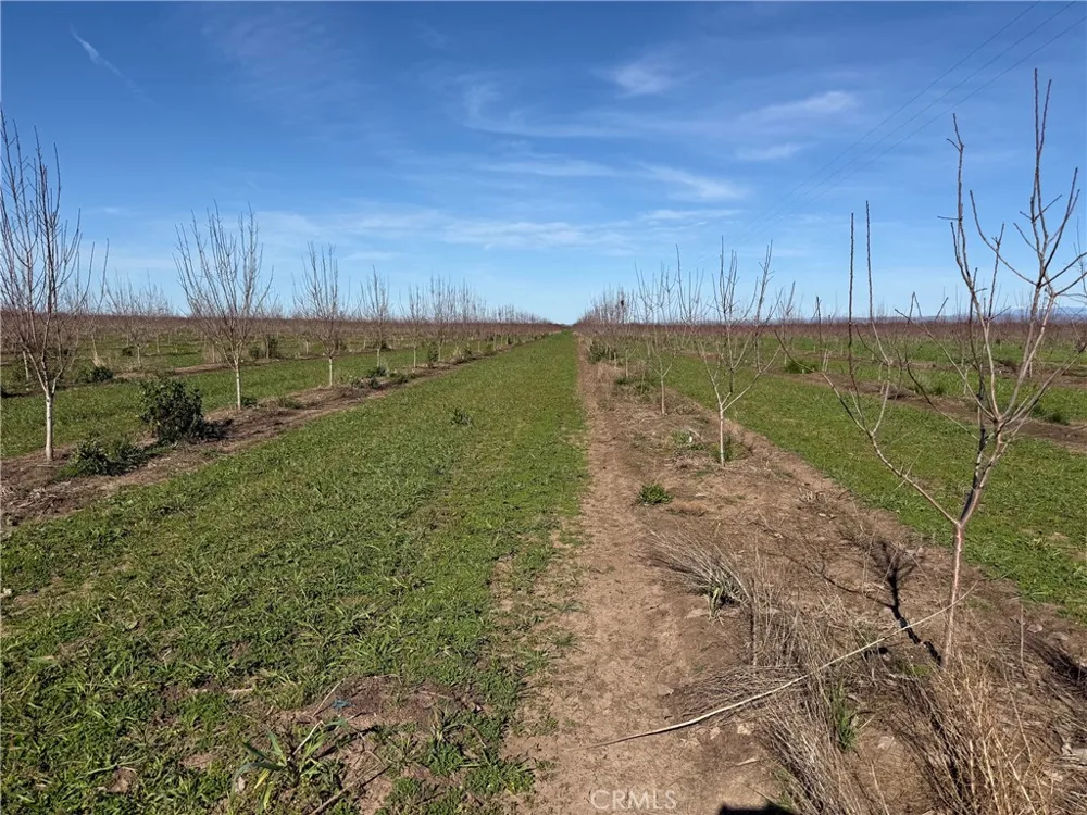 Cana Highway Chico, CA 95973