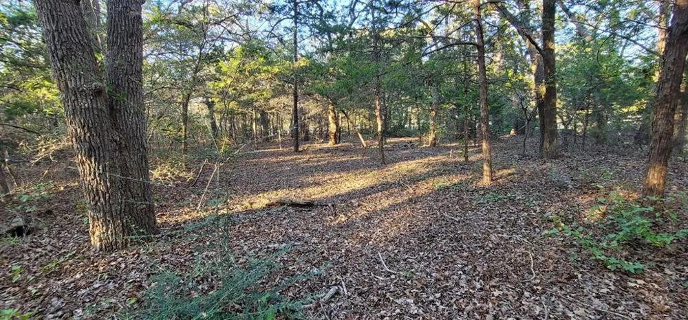 COUNTY ROAD 2261 Valley View, TX 76272
