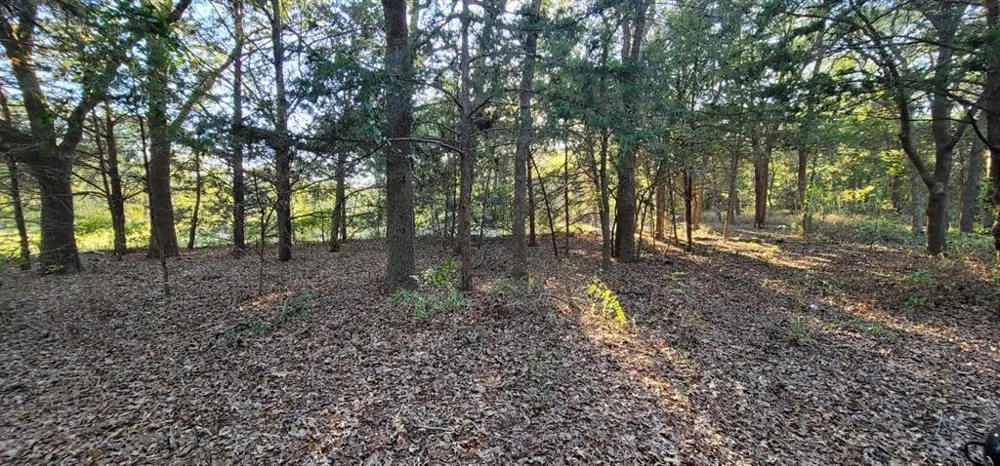 COUNTY ROAD 2261 Valley View, TX 76272