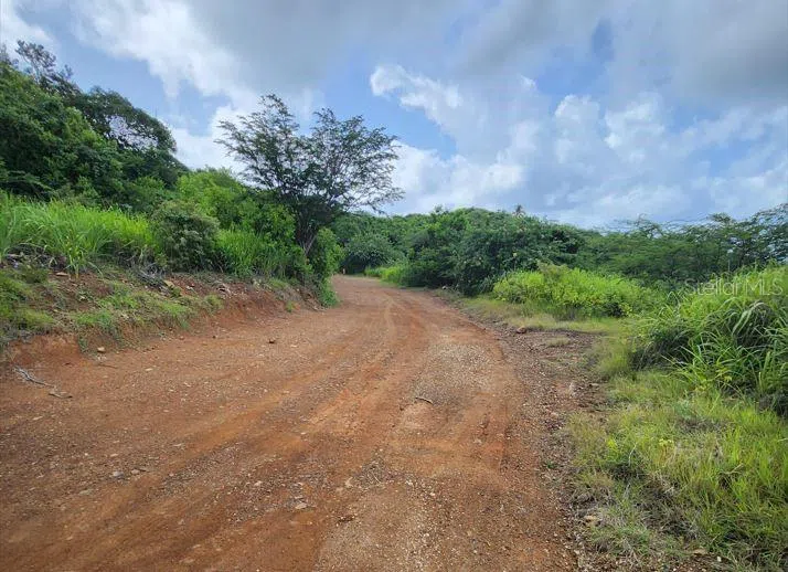 1 BARRIO FRAILES Culebra, PR 00775
