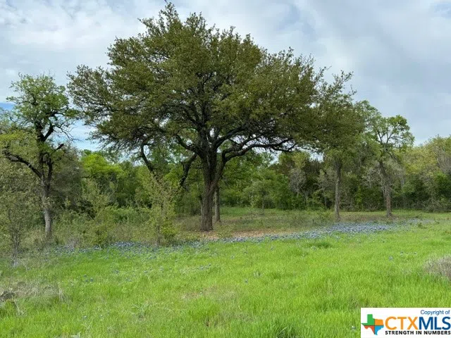 1291 Tweedy Road Valley Mills, TX 76689