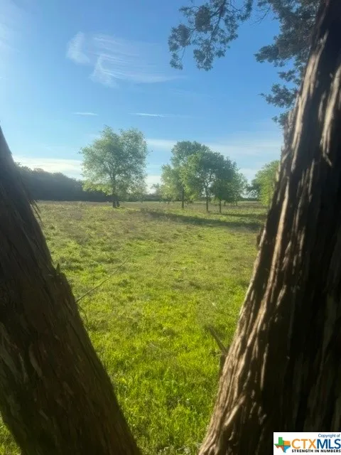 1291 Tweedy Road Valley Mills, TX 76689