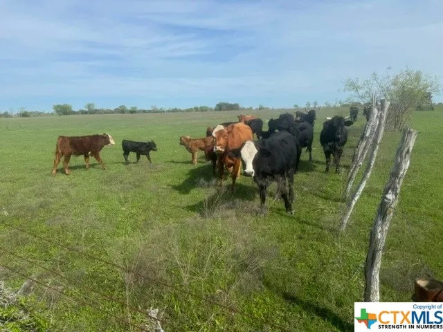 1291 Tweedy Road Valley Mills, TX 76689