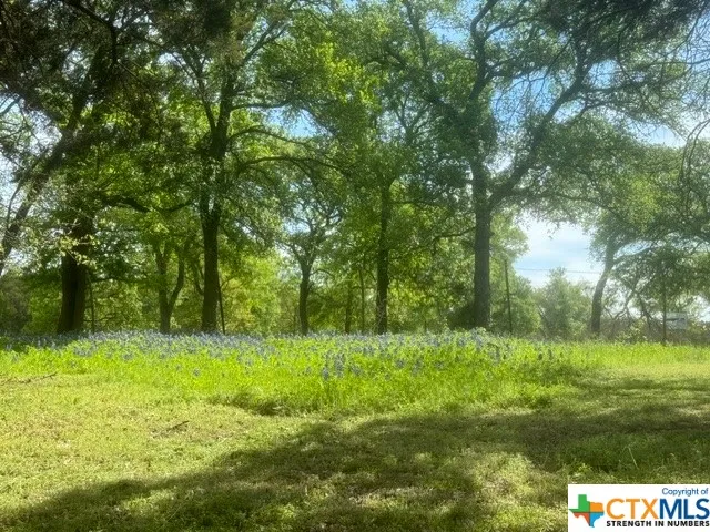 1291 Tweedy Road Valley Mills, TX 76689