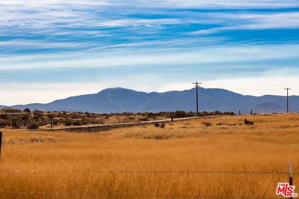 166 Russell Ranch Highway New Cuyama, CA 93254