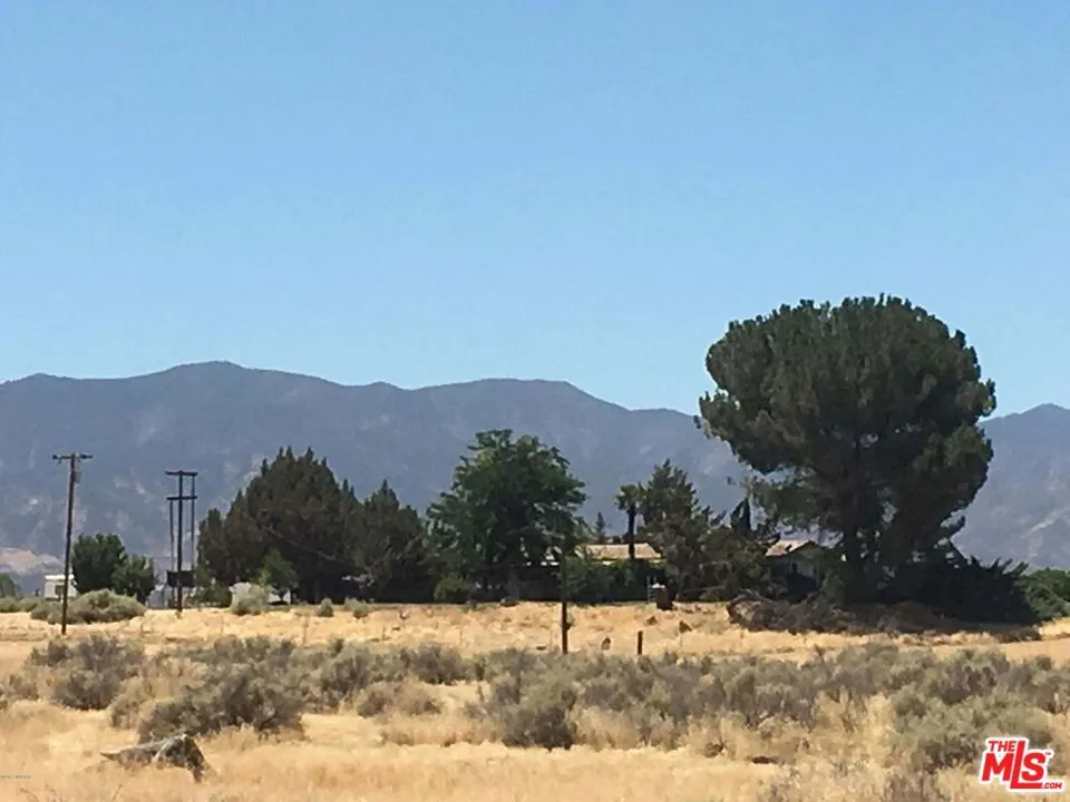 166 Russell Ranch Highway New Cuyama, CA 93254