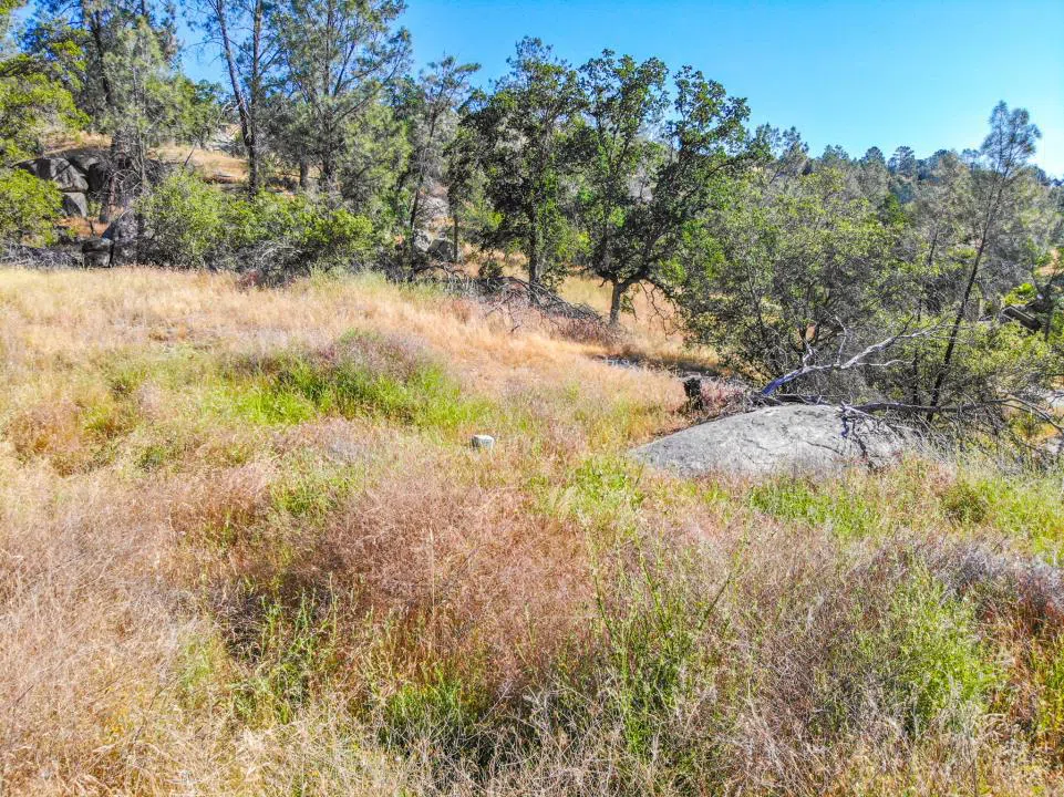 Long Hollow Drive Coarsegold, CA 93614