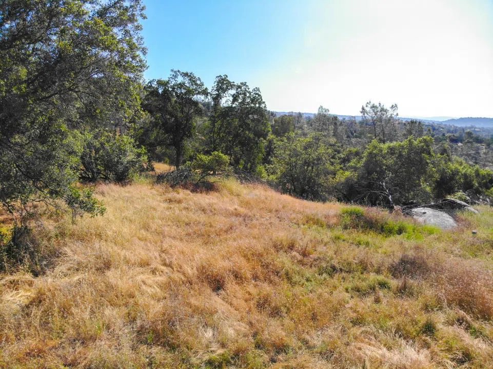 Long Hollow Drive Coarsegold, CA 93614