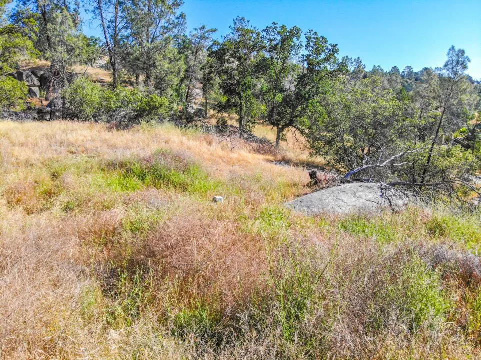 Long Hollow Drive Coarsegold, CA 93614