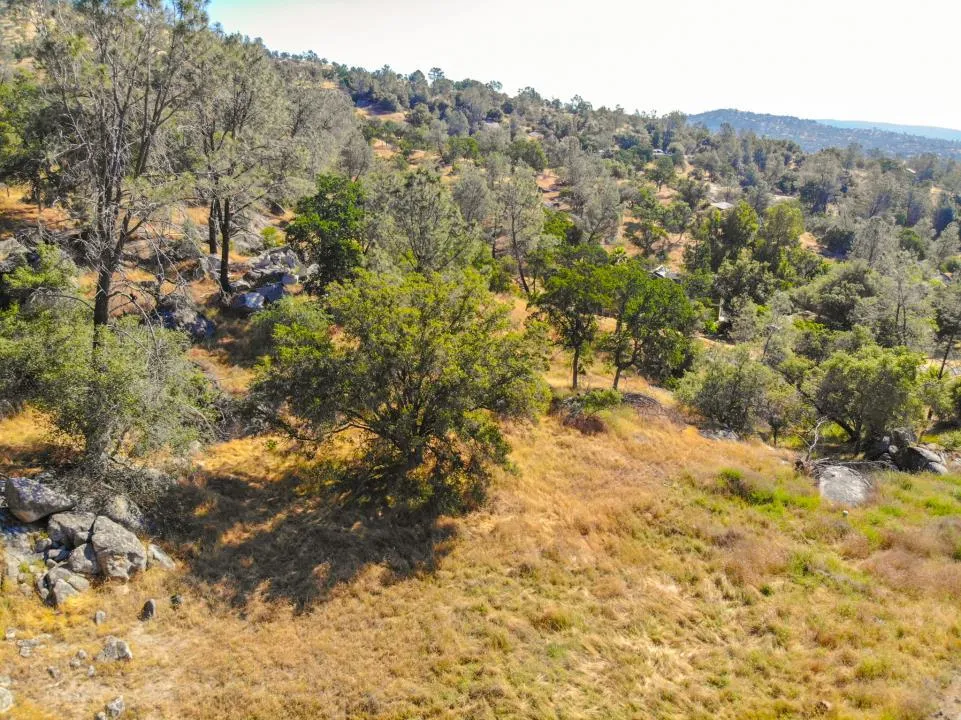 Long Hollow Drive Coarsegold, CA 93614