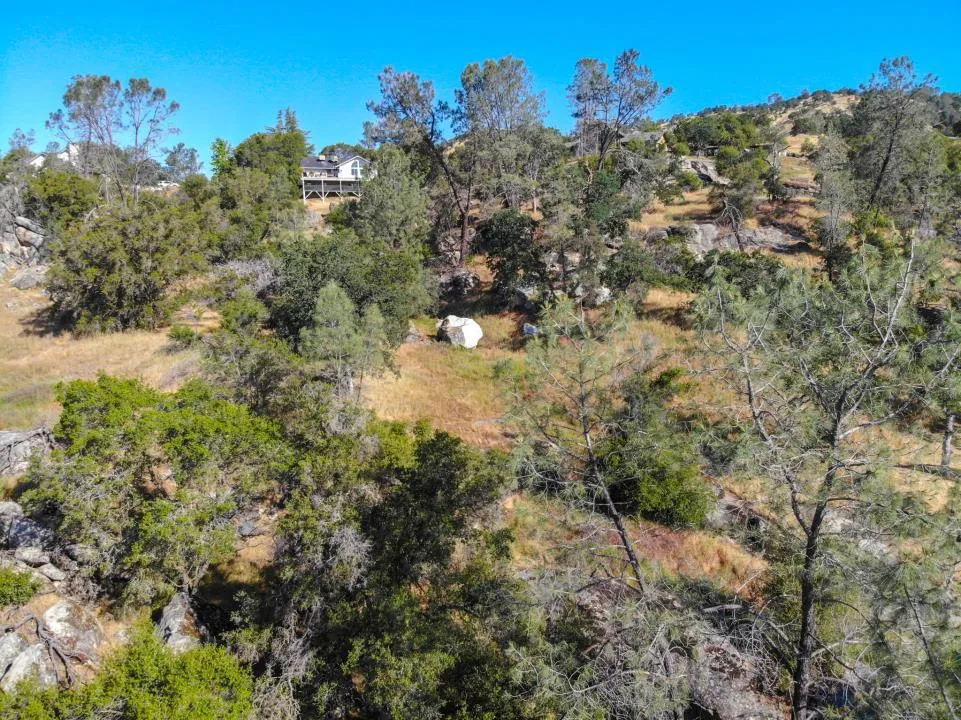 Long Hollow Drive Coarsegold, CA 93614