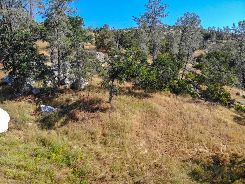 Long Hollow Drive Coarsegold, CA 93614