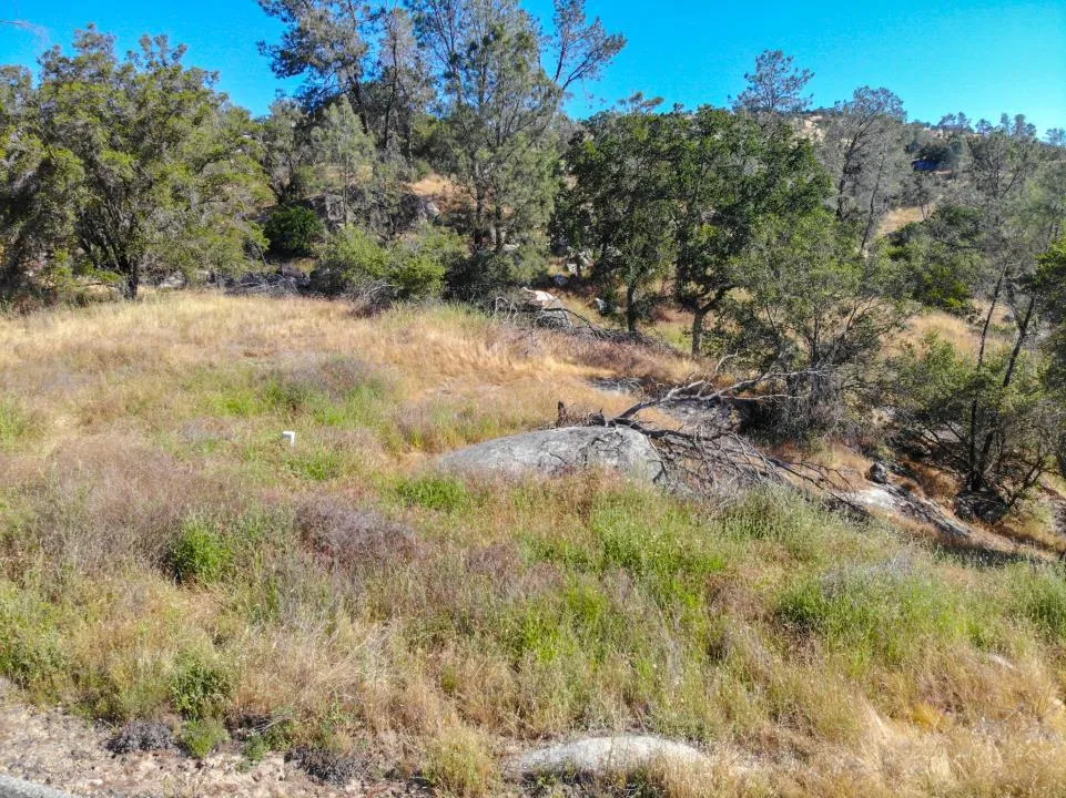 Long Hollow Drive Coarsegold, CA 93614