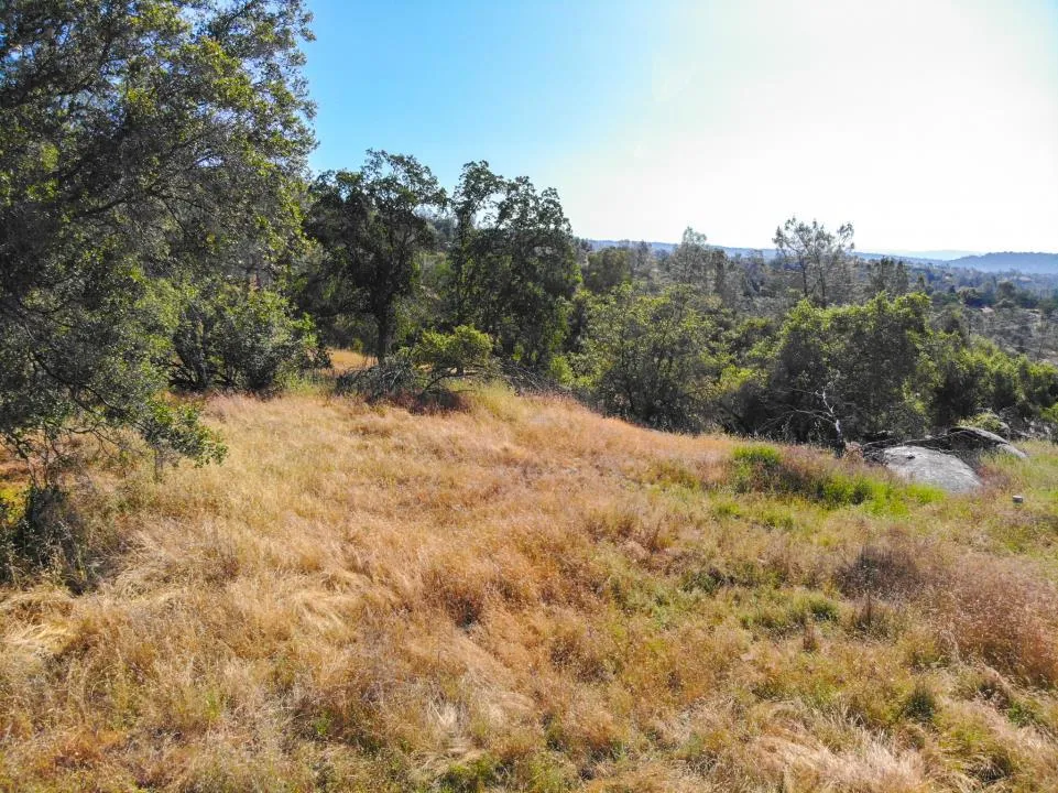 Long Hollow Drive Coarsegold, CA 93614