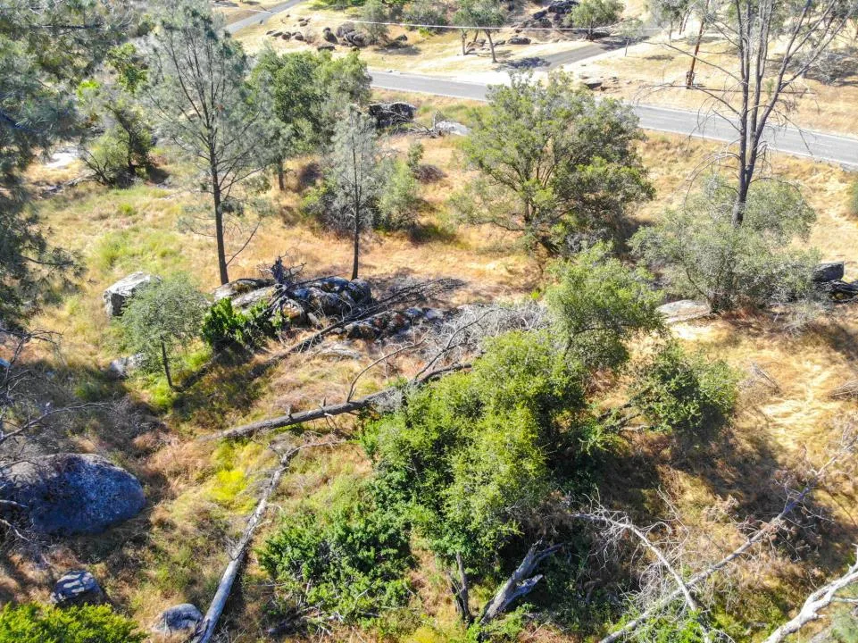 Long Hollow Drive Coarsegold, CA 93614