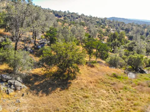 Long Hollow Drive