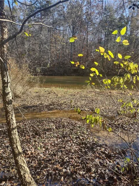 Portion of 1790 Mallard Lakes Drive
