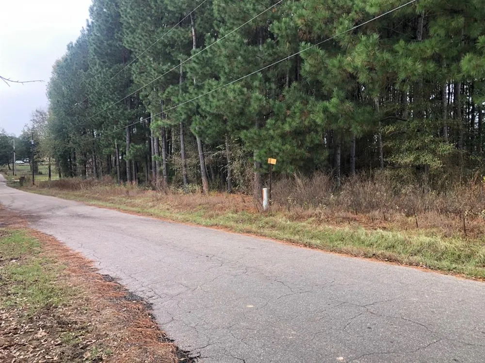 County Road 4130 Pittsburg, TX 75686
