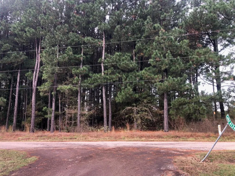 County Road 4130 Pittsburg, TX 75686