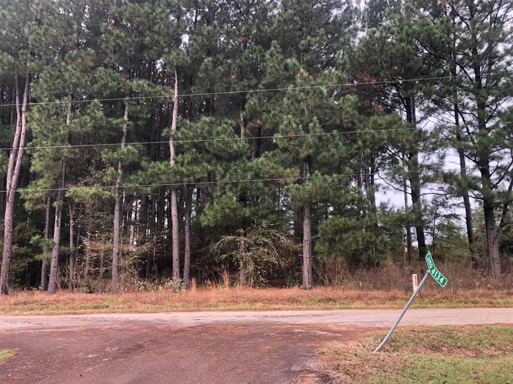 County Road 4130 Pittsburg, TX 75686