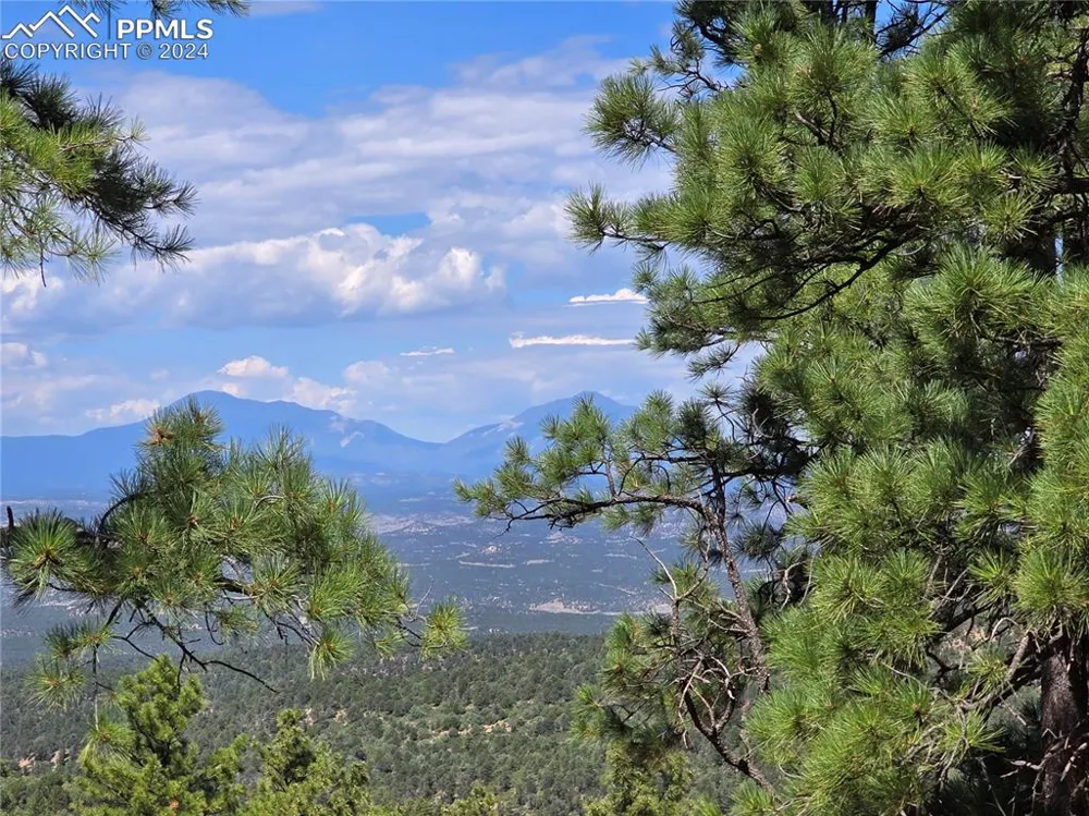 33036 Meadow Ridge Lane Trinidad, CO 81082